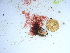  ( - GWS038493)  @11 [ ] Unspecified (default): All Rights Reserved  Unspecified Unspecified