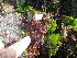  ( - GWS038524)  @11 [ ] Unspecified (default): All Rights Reserved  Unspecified Unspecified