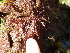  ( - GWS038534)  @11 [ ] Unspecified (default): All Rights Reserved  Unspecified Unspecified
