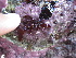  ( - GWS038538)  @11 [ ] Unspecified (default): All Rights Reserved  Unspecified Unspecified