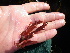  ( - GWS038541)  @11 [ ] Unspecified (default): All Rights Reserved  Unspecified Unspecified