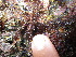  ( - GWS038544)  @11 [ ] Unspecified (default): All Rights Reserved  Unspecified Unspecified