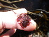  ( - GWS038556)  @11 [ ] Unspecified (default): All Rights Reserved  Unspecified Unspecified