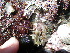  ( - GWS038605)  @11 [ ] Unspecified (default): All Rights Reserved  Unspecified Unspecified