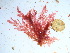  ( - GWS038921)  @11 [ ] Unspecified (default): All Rights Reserved  Unspecified Unspecified
