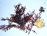  ( - GWS038939)  @11 [ ] Unspecified (default): All Rights Reserved  Unspecified Unspecified