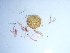  ( - GWS038943)  @11 [ ] Unspecified (default): All Rights Reserved  Unspecified Unspecified