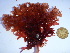  ( - GWS038975)  @11 [ ] Unspecified (default): All Rights Reserved  Unspecified Unspecified