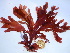  ( - GWS038979)  @11 [ ] Unspecified (default): All Rights Reserved  Unspecified Unspecified