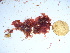  ( - GWS038986)  @11 [ ] Unspecified (default): All Rights Reserved  Unspecified Unspecified