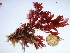  ( - GWS039010)  @11 [ ] Unspecified (default): All Rights Reserved  Unspecified Unspecified