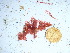  ( - GWS039022)  @11 [ ] Unspecified (default): All Rights Reserved  Unspecified Unspecified