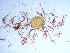  ( - GWS039032)  @11 [ ] Unspecified (default): All Rights Reserved  Unspecified Unspecified
