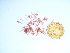  ( - GWS039041)  @11 [ ] Unspecified (default): All Rights Reserved  Unspecified Unspecified
