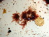 ( - GWS039081)  @11 [ ] Unspecified (default): All Rights Reserved  Unspecified Unspecified