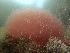 ( - GWS039093)  @11 [ ] Unspecified (default): All Rights Reserved  Unspecified Unspecified