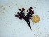  ( - GWS039475)  @11 [ ] Unspecified (default): All Rights Reserved  Unspecified Unspecified