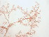  ( - GWS039587)  @11 [ ] Unspecified (default): All Rights Reserved  Unspecified Unspecified