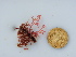  ( - GWS039950)  @11 [ ] Unspecified (default): All Rights Reserved  Unspecified Unspecified