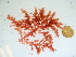  ( - GWS040020)  @11 [ ] Unspecified (default): All Rights Reserved  Unspecified Unspecified