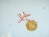  ( - GWS040034)  @11 [ ] Unspecified (default): All Rights Reserved  Unspecified Unspecified
