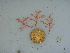  ( - GWS040055)  @11 [ ] Unspecified (default): All Rights Reserved  Unspecified Unspecified