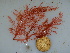  ( - GWS040064)  @11 [ ] Unspecified (default): All Rights Reserved  Unspecified Unspecified