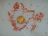  ( - GWS040068)  @11 [ ] Unspecified (default): All Rights Reserved  Unspecified Unspecified