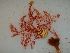  ( - GWS040075)  @11 [ ] Unspecified (default): All Rights Reserved  Unspecified Unspecified