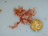  ( - GWS040077)  @11 [ ] Unspecified (default): All Rights Reserved  Unspecified Unspecified