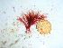  ( - GWS040439)  @11 [ ] Unspecified (default): All Rights Reserved  Unspecified Unspecified