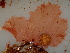  ( - GWS040625)  @11 [ ] Unspecified (default): All Rights Reserved  Unspecified Unspecified