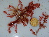  ( - GWS040648)  @11 [ ] Unspecified (default): All Rights Reserved  Unspecified Unspecified