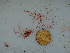  ( - GWS040681)  @11 [ ] Unspecified (default): All Rights Reserved  Unspecified Unspecified