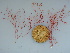  ( - GWS040703)  @11 [ ] Unspecified (default): All Rights Reserved  Unspecified Unspecified