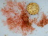  ( - GWS040830)  @11 [ ] Unspecified (default): All Rights Reserved  Unspecified Unspecified