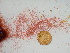  ( - GWS040896)  @11 [ ] Unspecified (default): All Rights Reserved  Unspecified Unspecified