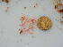  ( - GWS040920)  @11 [ ] Unspecified (default): All Rights Reserved  Unspecified Unspecified