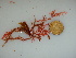  ( - GWS040947)  @11 [ ] Unspecified (default): All Rights Reserved  Unspecified Unspecified