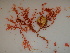  ( - GWS040952)  @11 [ ] Unspecified (default): All Rights Reserved  Unspecified Unspecified