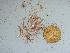  ( - GWS041341)  @11 [ ] Unspecified (default): All Rights Reserved  Unspecified Unspecified