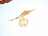  ( - GWS041539)  @11 [ ] Unspecified (default): All Rights Reserved  Unspecified Unspecified