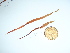  ( - GWS041542)  @11 [ ] Unspecified (default): All Rights Reserved  Unspecified Unspecified