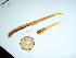  ( - GWS041543)  @11 [ ] Unspecified (default): All Rights Reserved  Unspecified Unspecified