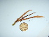  ( - GWS041545)  @11 [ ] Unspecified (default): All Rights Reserved  Unspecified Unspecified