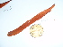  ( - GWS041554)  @11 [ ] Unspecified (default): All Rights Reserved  Unspecified Unspecified