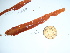  ( - GWS041555)  @11 [ ] Unspecified (default): All Rights Reserved  Unspecified Unspecified