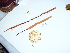  ( - GWS041558)  @11 [ ] Unspecified (default): All Rights Reserved  Unspecified Unspecified