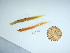  ( - GWS041561)  @11 [ ] Unspecified (default): All Rights Reserved  Unspecified Unspecified