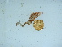 ( - GWS041720)  @11 [ ] Unspecified (default): All Rights Reserved  Unspecified Unspecified